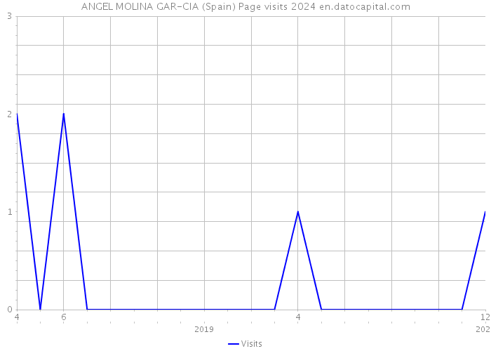 ANGEL MOLINA GAR-CIA (Spain) Page visits 2024 
