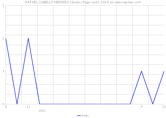 RAFAEL CABELLO HERRERO (Spain) Page visits 2024 