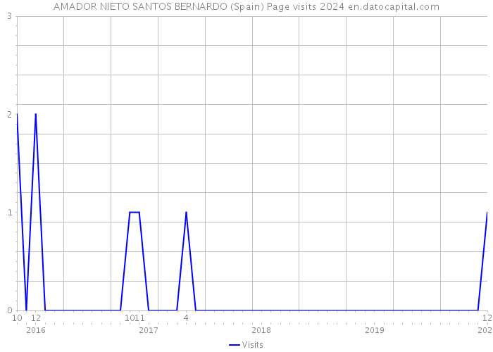 AMADOR NIETO SANTOS BERNARDO (Spain) Page visits 2024 