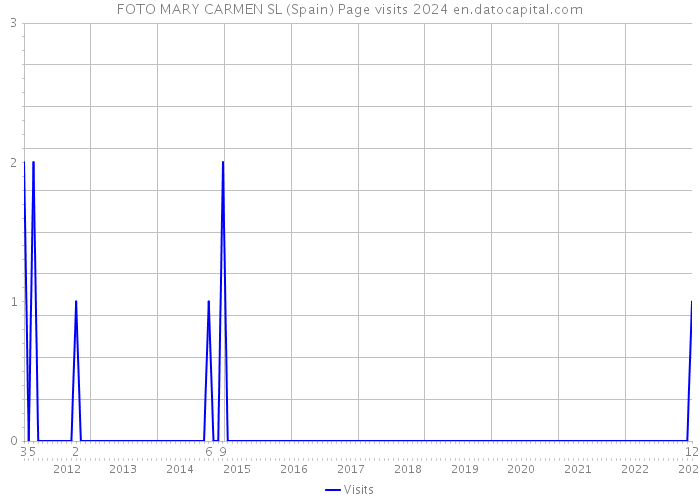 FOTO MARY CARMEN SL (Spain) Page visits 2024 