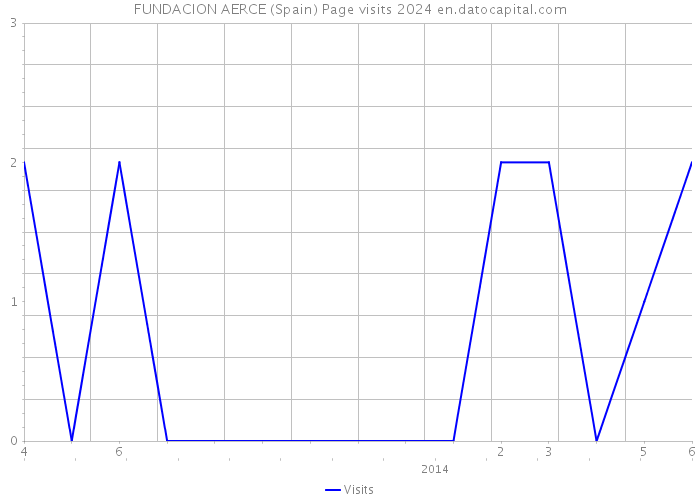 FUNDACION AERCE (Spain) Page visits 2024 