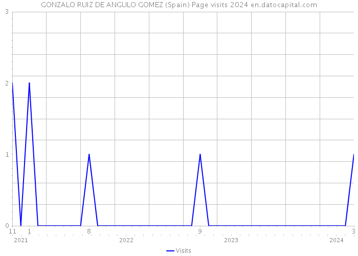 GONZALO RUIZ DE ANGULO GOMEZ (Spain) Page visits 2024 