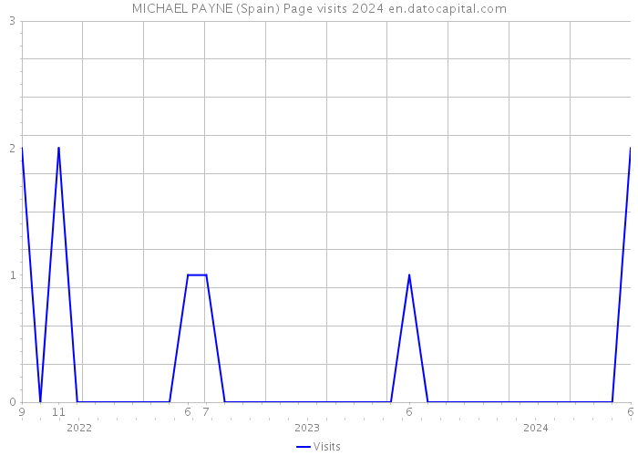 MICHAEL PAYNE (Spain) Page visits 2024 