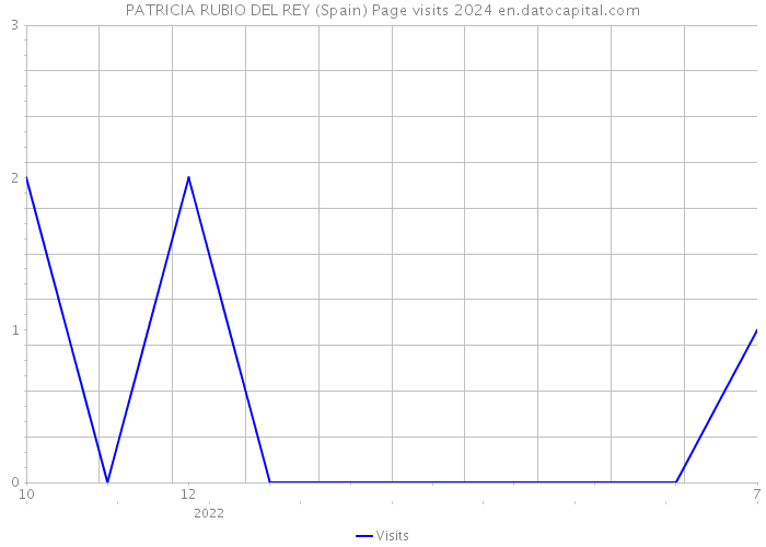 PATRICIA RUBIO DEL REY (Spain) Page visits 2024 
