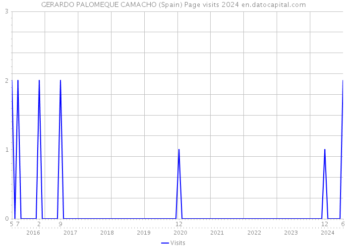 GERARDO PALOMEQUE CAMACHO (Spain) Page visits 2024 
