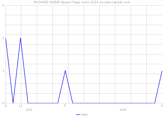 RICHARD SKENE (Spain) Page visits 2024 