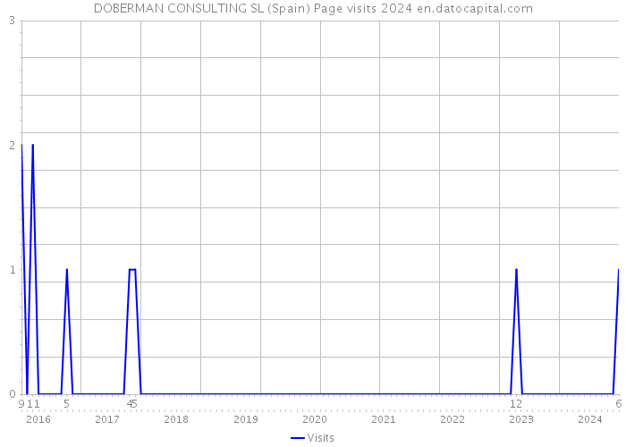 DOBERMAN CONSULTING SL (Spain) Page visits 2024 