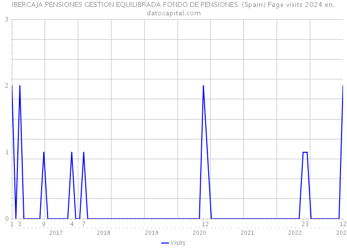 IBERCAJA PENSIONES GESTION EQUILIBRADA FONDO DE PENSIONES. (Spain) Page visits 2024 
