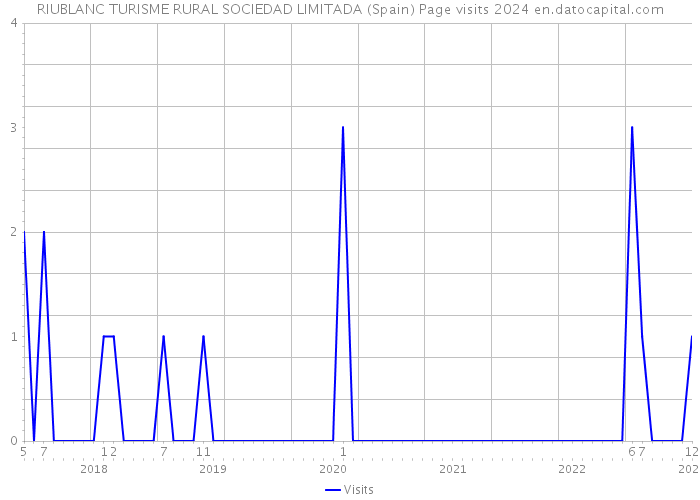RIUBLANC TURISME RURAL SOCIEDAD LIMITADA (Spain) Page visits 2024 