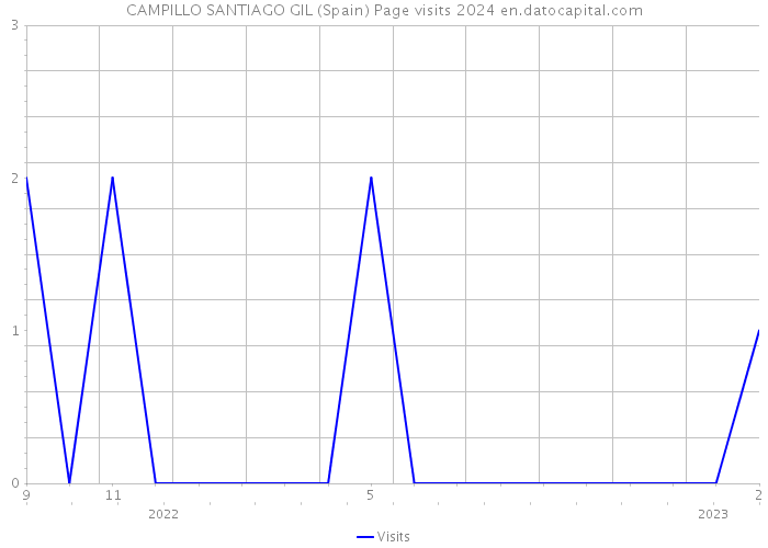 CAMPILLO SANTIAGO GIL (Spain) Page visits 2024 