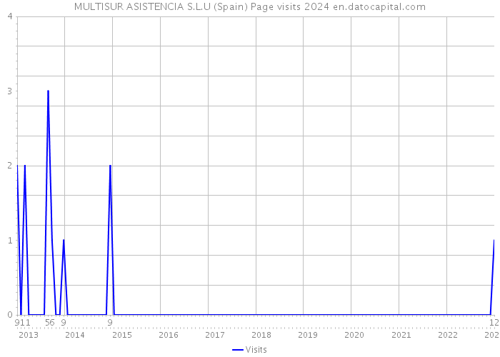 MULTISUR ASISTENCIA S.L.U (Spain) Page visits 2024 