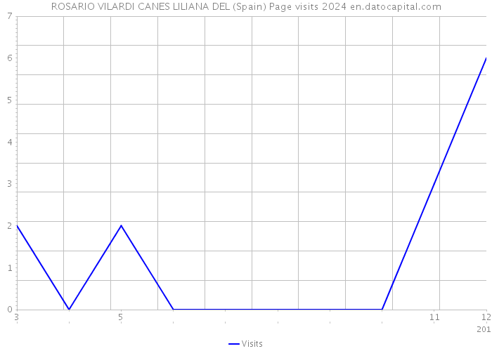 ROSARIO VILARDI CANES LILIANA DEL (Spain) Page visits 2024 