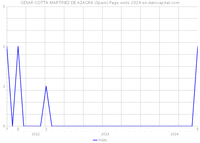 CESAR COTTA MARTINEZ DE AZAGRA (Spain) Page visits 2024 