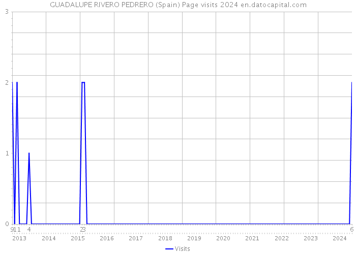 GUADALUPE RIVERO PEDRERO (Spain) Page visits 2024 