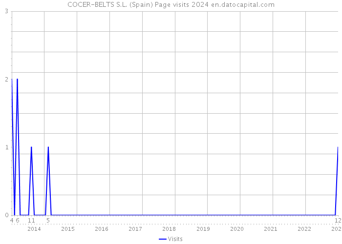 COCER-BELTS S.L. (Spain) Page visits 2024 