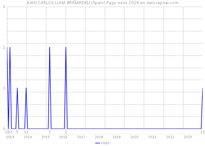 JUAN CARLOS LUNA BRIÑARDELI (Spain) Page visits 2024 