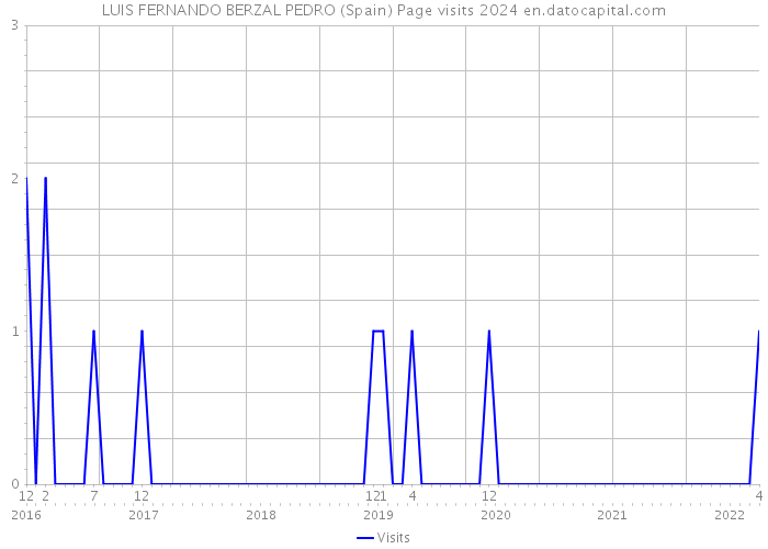 LUIS FERNANDO BERZAL PEDRO (Spain) Page visits 2024 