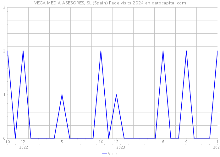 VEGA MEDIA ASESORES, SL (Spain) Page visits 2024 