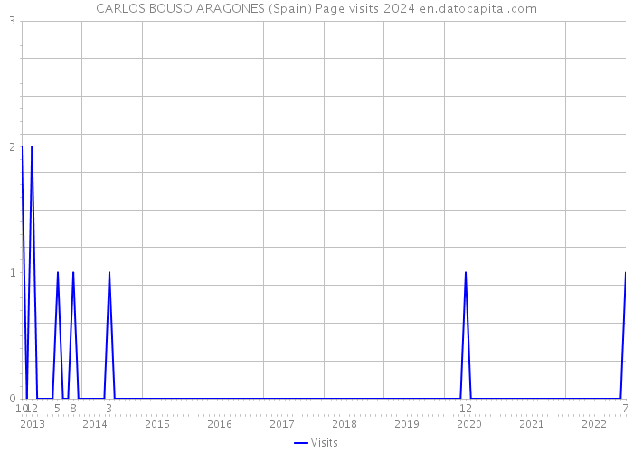 CARLOS BOUSO ARAGONES (Spain) Page visits 2024 