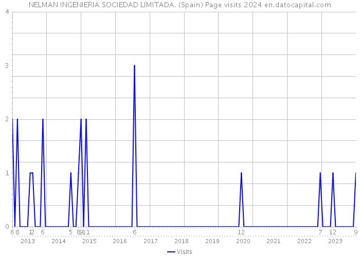 NELMAN INGENIERIA SOCIEDAD LIMITADA. (Spain) Page visits 2024 