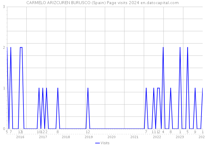 CARMELO ARIZCUREN BURUSCO (Spain) Page visits 2024 