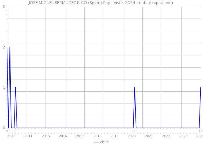 JOSE MIGUEL BERMUDEZ RICO (Spain) Page visits 2024 