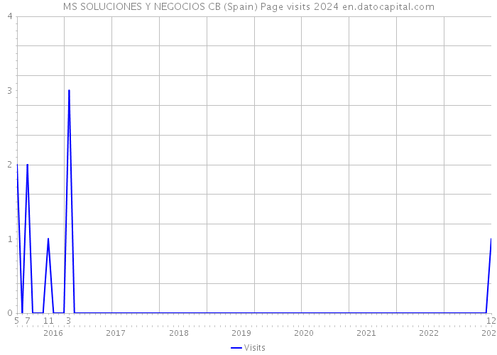 MS SOLUCIONES Y NEGOCIOS CB (Spain) Page visits 2024 