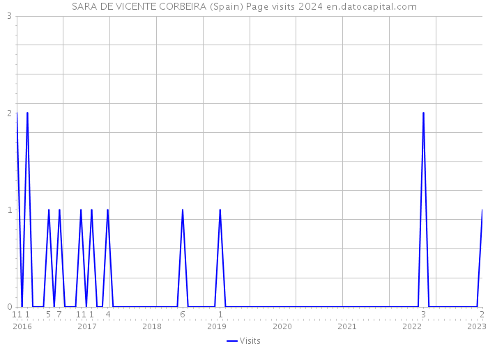 SARA DE VICENTE CORBEIRA (Spain) Page visits 2024 