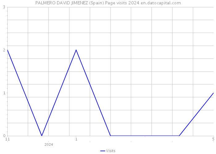 PALMERO DAVID JIMENEZ (Spain) Page visits 2024 