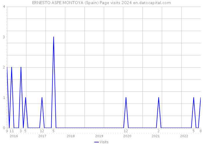 ERNESTO ASPE MONTOYA (Spain) Page visits 2024 