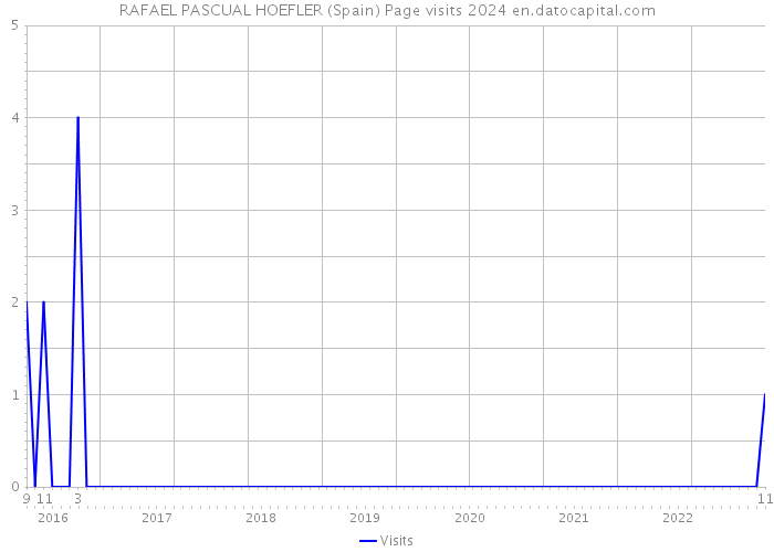 RAFAEL PASCUAL HOEFLER (Spain) Page visits 2024 