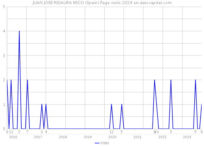 JUAN JOSE RIDAURA MICO (Spain) Page visits 2024 