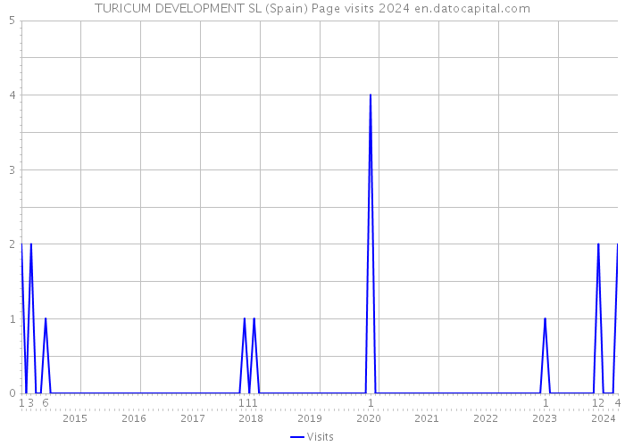 TURICUM DEVELOPMENT SL (Spain) Page visits 2024 