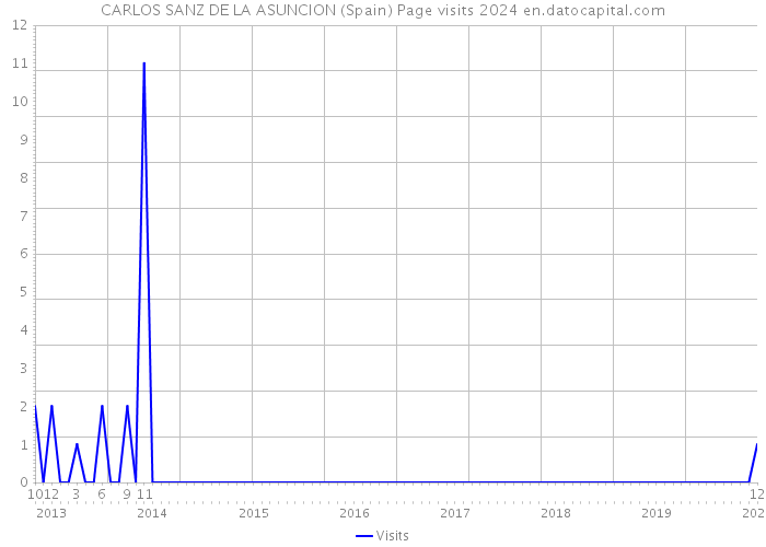 CARLOS SANZ DE LA ASUNCION (Spain) Page visits 2024 