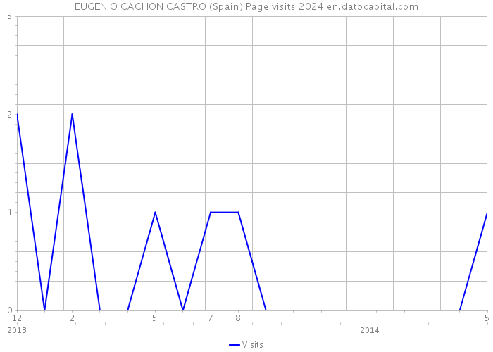 EUGENIO CACHON CASTRO (Spain) Page visits 2024 