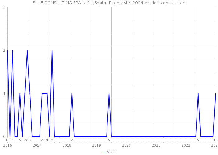 BLUE CONSULTING SPAIN SL (Spain) Page visits 2024 