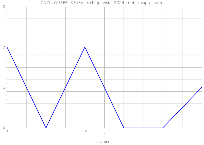 GAGINYAN FELIKS (Spain) Page visits 2024 
