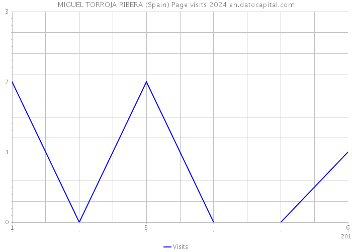 MIGUEL TORROJA RIBERA (Spain) Page visits 2024 