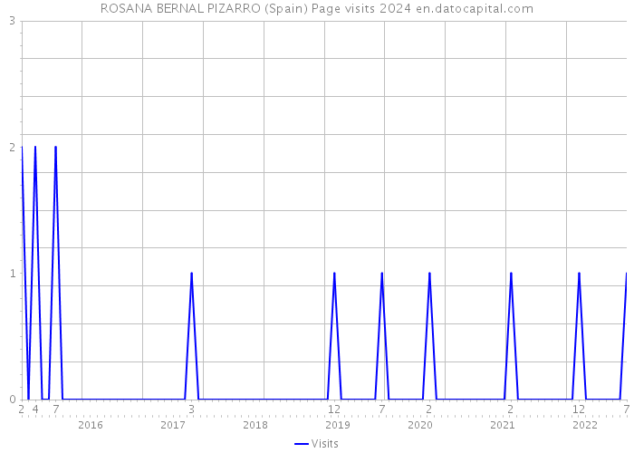 ROSANA BERNAL PIZARRO (Spain) Page visits 2024 