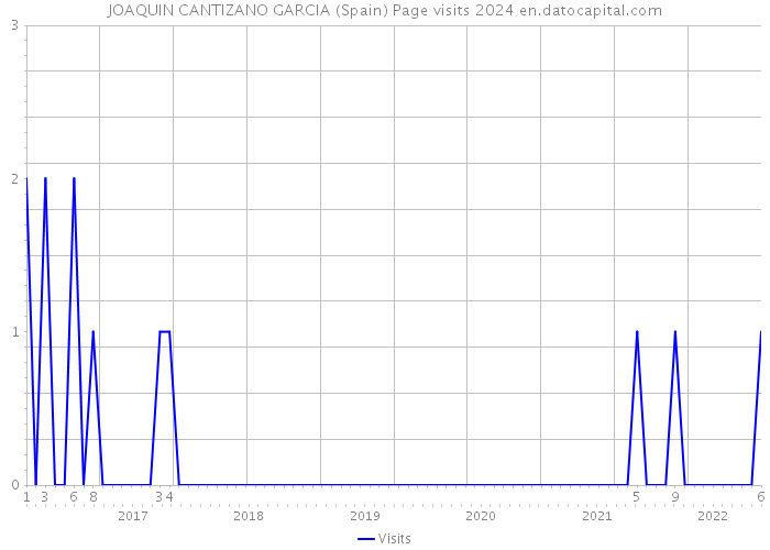 JOAQUIN CANTIZANO GARCIA (Spain) Page visits 2024 