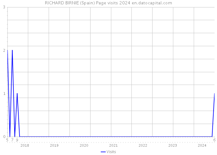 RICHARD BIRNIE (Spain) Page visits 2024 