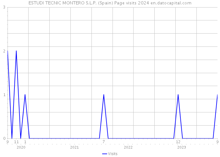 ESTUDI TECNIC MONTERO S.L.P. (Spain) Page visits 2024 