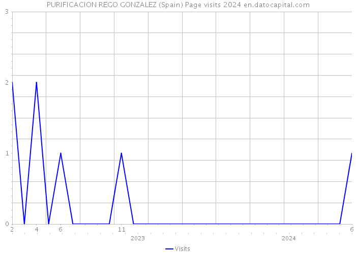 PURIFICACION REGO GONZALEZ (Spain) Page visits 2024 