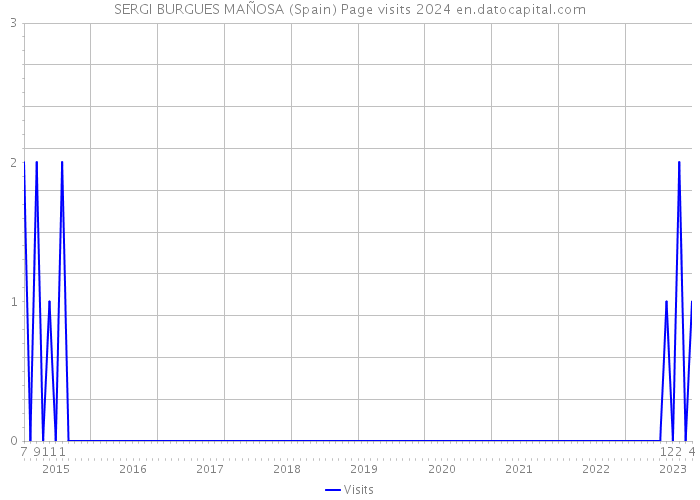SERGI BURGUES MAÑOSA (Spain) Page visits 2024 
