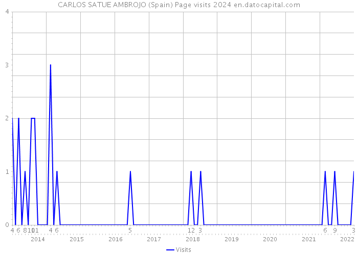 CARLOS SATUE AMBROJO (Spain) Page visits 2024 
