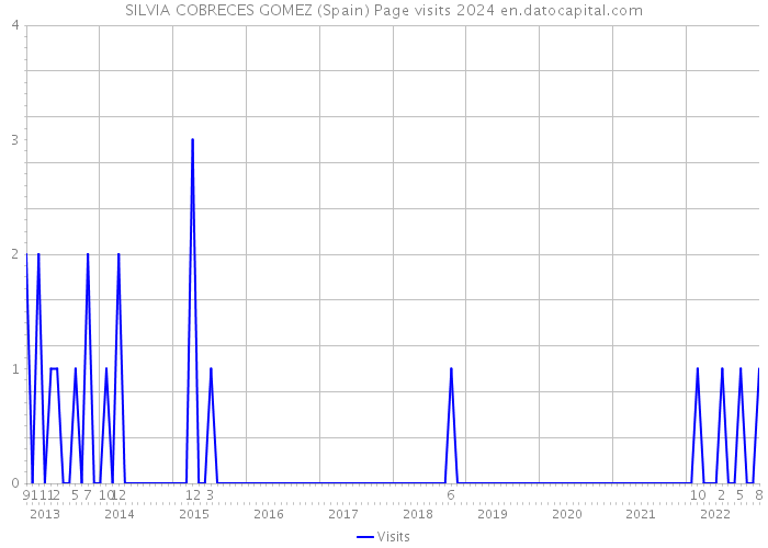 SILVIA COBRECES GOMEZ (Spain) Page visits 2024 
