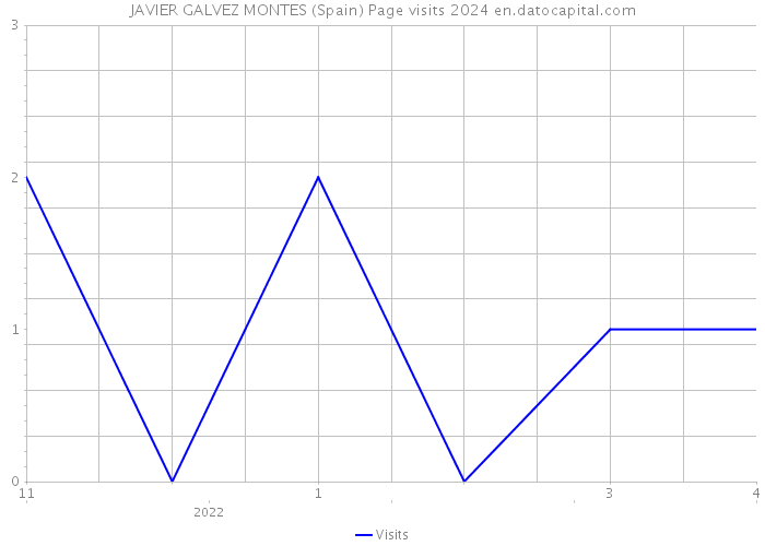 JAVIER GALVEZ MONTES (Spain) Page visits 2024 
