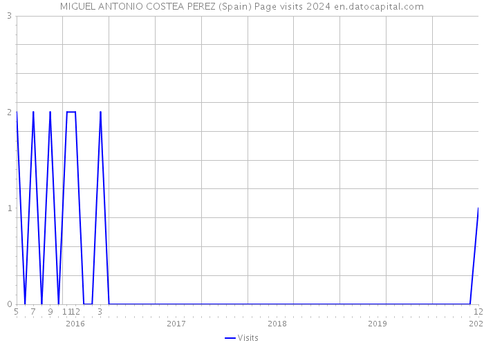 MIGUEL ANTONIO COSTEA PEREZ (Spain) Page visits 2024 