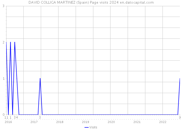 DAVID COLLIGA MARTINEZ (Spain) Page visits 2024 