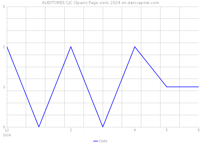 AUDITORES CJC (Spain) Page visits 2024 
